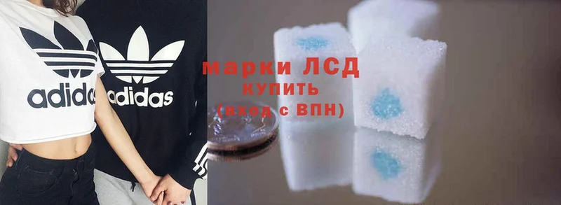 Лсд 25 экстази ecstasy  blacksprut как войти  Энем 